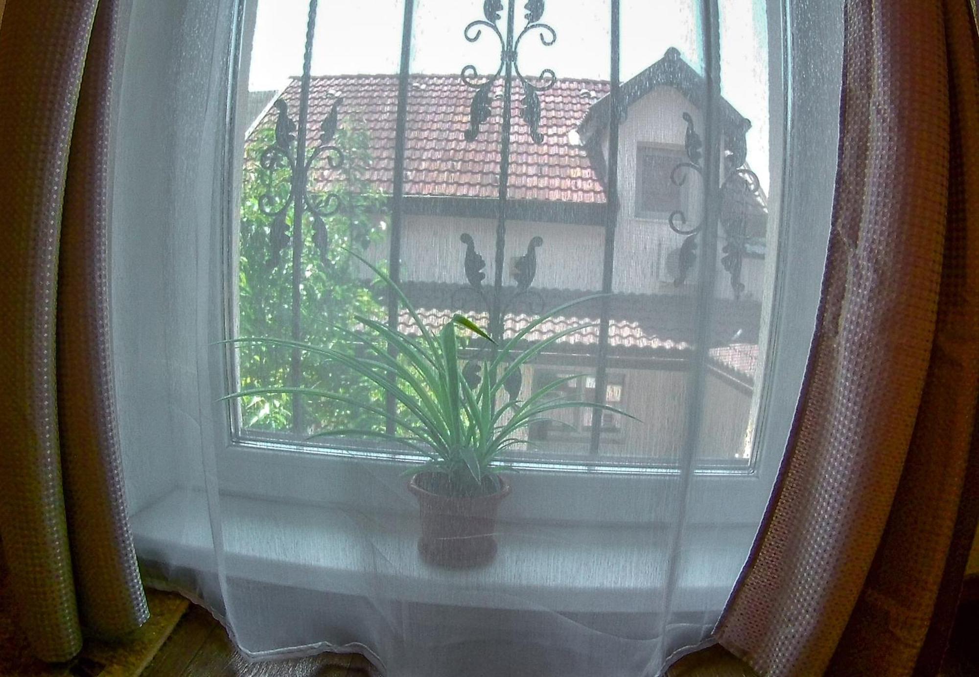 Nice & Cozy Apartments ทิมิชัวรา ห้อง รูปภาพ